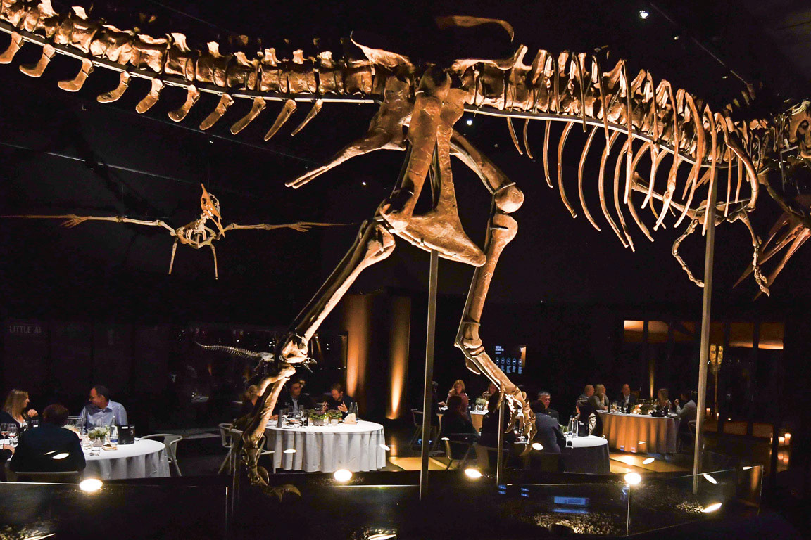 Dinosaurier Museum Citicon Das Trendmagazin